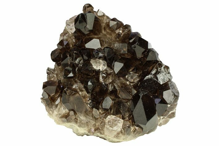 Dark Smoky Quartz Crystal Cluster - Brazil #302140